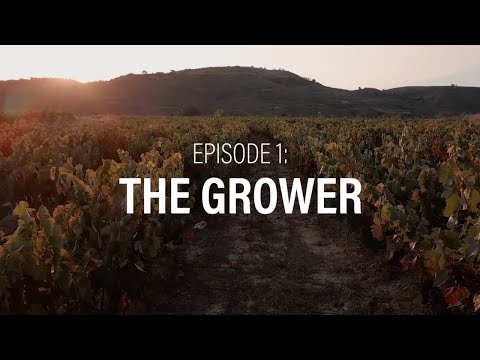 Rioja | The Heart of Harvest - Episode 1: The Grower