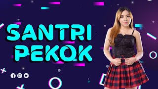 Download lagu SANTRI PEKOK BY DJ RERE MONIQUE REMIX 2024 mp3