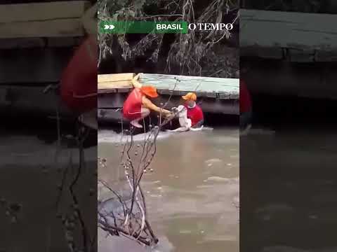 Bombeiros salvam cachorro arrastado pela correnteza em comunidade indígena