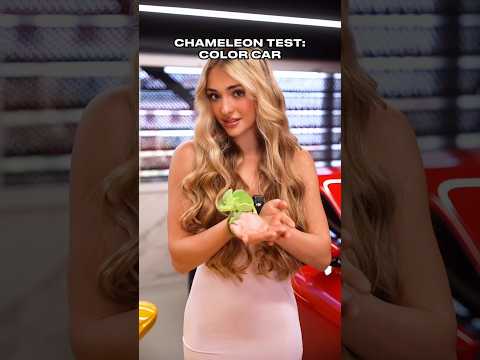 grils vs car Moshina_Xayda Shov Shuv