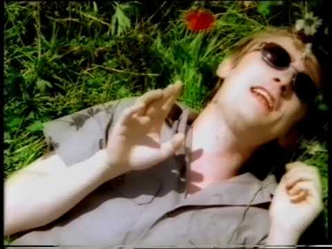 The Pop Singers Fear of the Pollen Count - The Divine Comedy