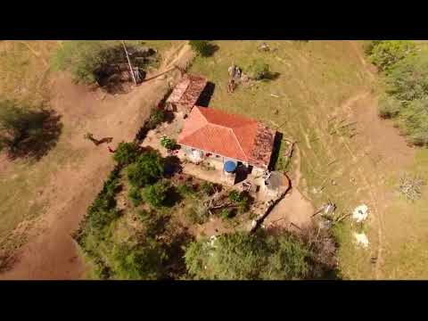 Fazenda Pé do Morro - Capela do Alto Alegre - BA