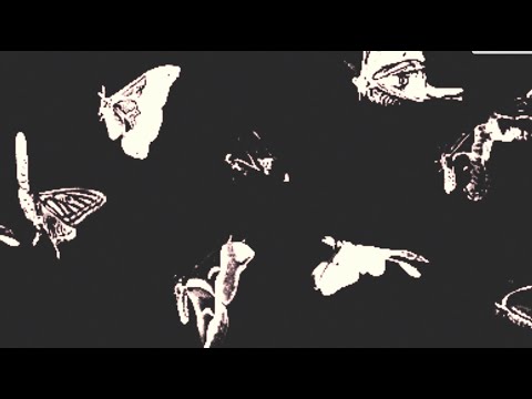 Mag Chlebowska - Ćma