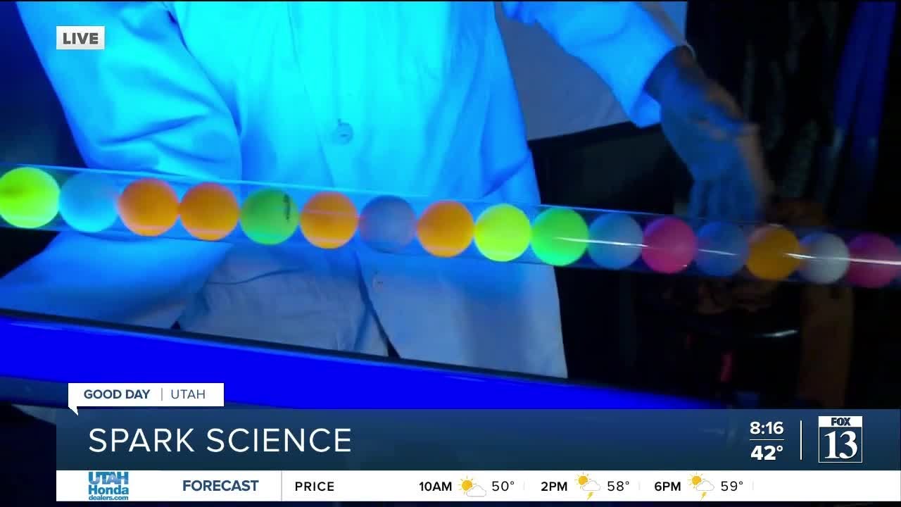 Budah gets a quick science lesson on ultraviolet vision