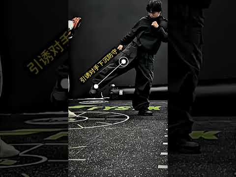 #kungfu #ilovejeetkunedobroadcast #mma #shortvideo  #lifeisbutadream #fighting #boxing #martialarts