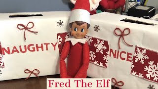 Naughty or Nice | Elf on The Shelf