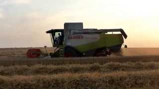 preview picture of video 'Claas Lexion 540 bei der Weizenernte'