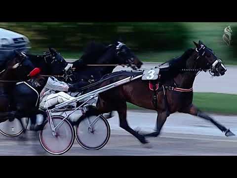 Aversa trotto 30 Dicembre 2020 - 5° Corsa