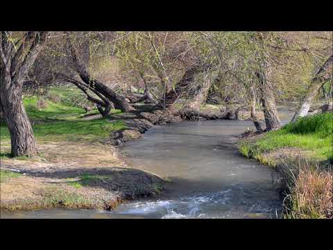 Symphonic Pictures of Turkmenistan - 1.Overture - Nury Halmammedow