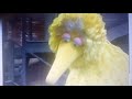 Sesame Street 1924 Dr Nobel Price Big Bird Gordon Flute