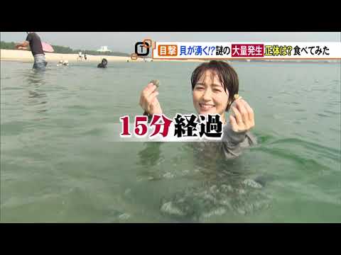 A massive outbreak occurs every decade or so! What is the true nature of the shellfish that \spro...