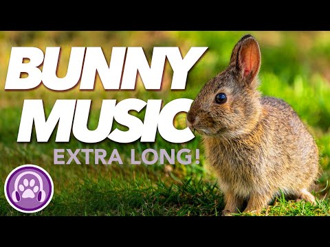 EXTREMELY LONG Music for Rabbits - 20-HOUR Relaxation Melody