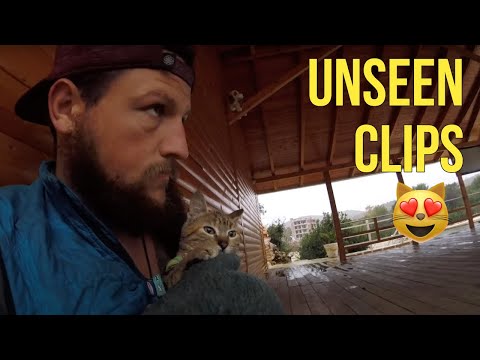 Unseen clips of Baby Nala 😻