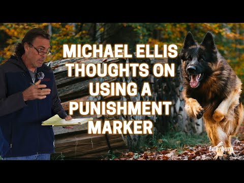 Michael Ellis Thoughts on Using a Punishment Marker