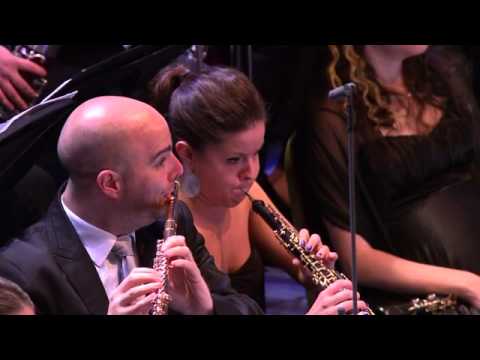 BBC Proms 2014 08 29 Barenboim Conducts the West Eastern Divan Orchestra PDTV x264 JIVE