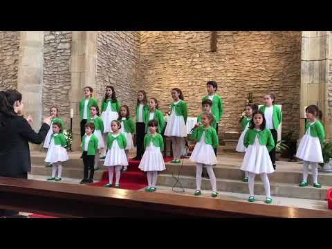 Txika txitxarra (Cicala latina) - Izar Txiki