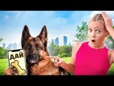 КУЧЕТО МИ УПРАВЛЯВА ЖИВОТА МИ 24 ЧАСА