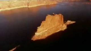 In the deep (Bird York)