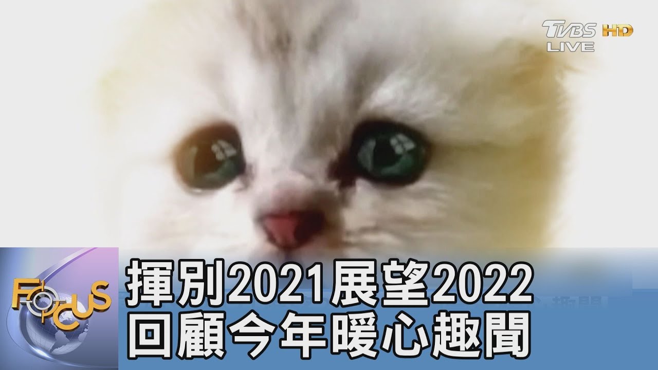 揮別2021展望2022 回顧今年暖心趣聞