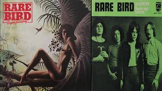 Sympathy - Rare Bird(동정-Sympathy - Rare Bird(동정-레어 버드)[가사 번역]