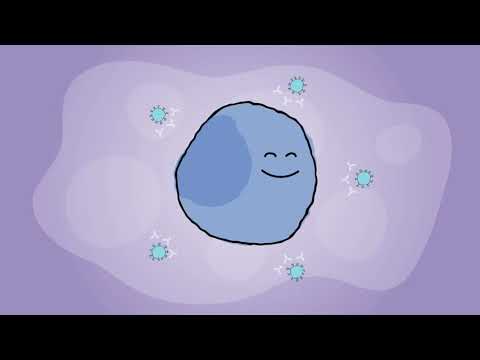 What Are Monoclonal Antibodies?