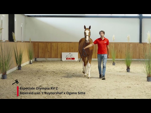Especiale Olympia RV Z