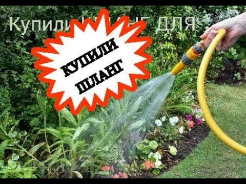 Купили ШЛАНГ ДЛЯ ПОЛИВКИ/ СОСЕД--ЖАДИНА/ VLOG#53