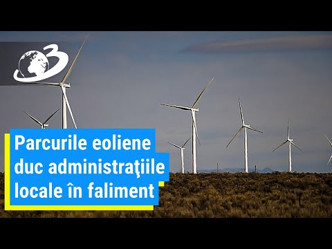 16 primării din Constanța și Tulcea, obligate să dea statului 100 de milioane de euro