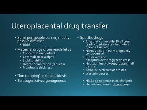 Neuroanesthesia and Pregnancy