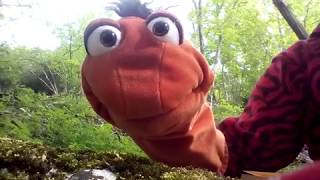 Video-Thumbnail von YouTube