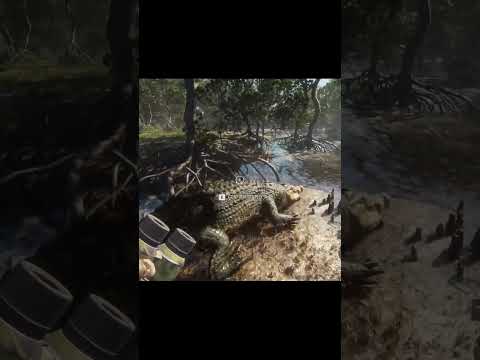 Diamond salt water crocodile #thehuntercallofthewild #saltwatercrocodile
