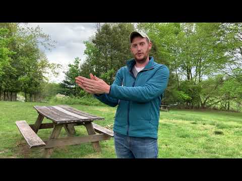 Nc Champion Tree Project Tutorial 6 Measuring Crown Spread