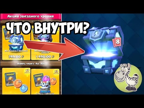 КУПИЛ МЕГАСУНДУК С МОЛНИЕЙ НА РЕТРО ЗЕБРЕ!