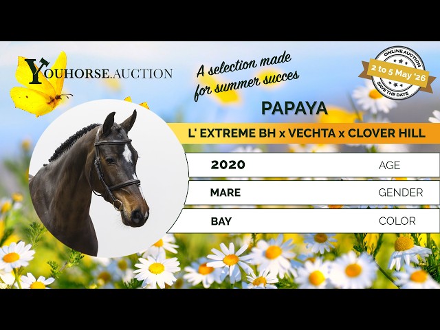 Papaya