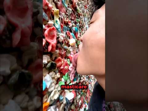 Non leccare MAI un muro di GOMME!😨