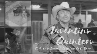 Juventino Quintero Lyrics English Translation