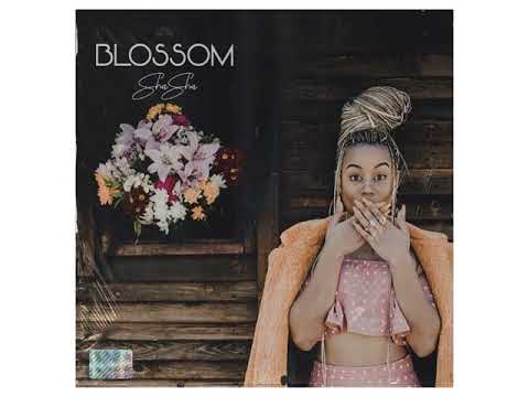 Tender Love ft  DJ Maphorisa & Kabza De Small (Official Audio) | ShaSha