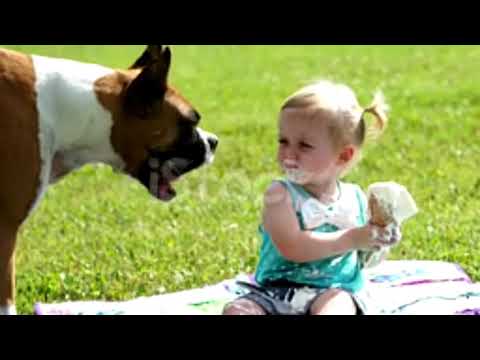 Little Girl Rides Her Dog | funny video | Download Video