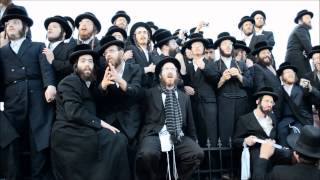 חסידי בעלז על קברי אדמו"רי בעלז