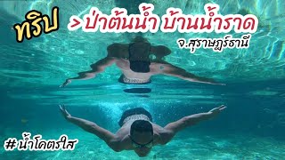 จอดนอนในรถ สุราษฎร์ธานี แวะเที่ยวป่าต้นน้ำ บ้านน้ำราด วันที่ 30 ก.ค.68