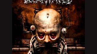 Decapitated - Poem About An Old Man - Organic Hallucinosis 2006