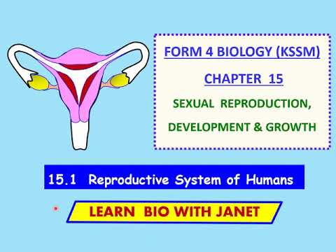Biology Form 4 KSSM Chapter 15 (15.1)  Reproductive Systems of Humans