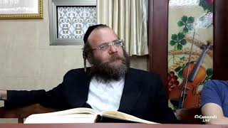 שיעור אור החיים פרשת מטות תשעט | הרב צבי חלמיש שליט"א