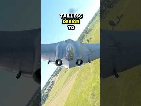 Was war die Horten Ho-229?