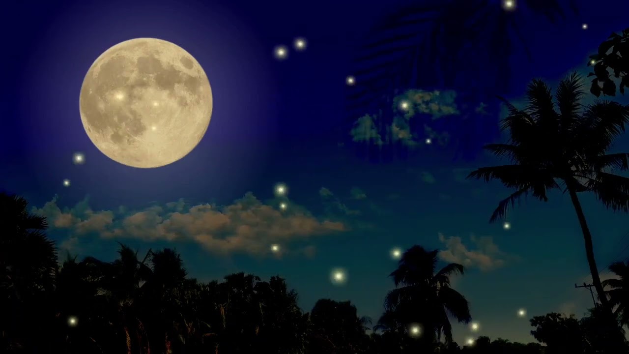 Ambient sounds at night - crickets, fall asleep quickly - Help for insomnia