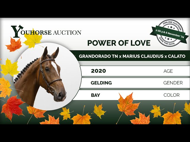 Power of Love