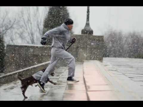 juan2791’s Video 106808085730 IDGU6cm89DQ