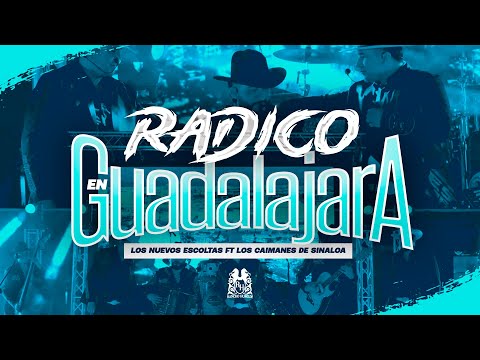 Miniatura de Radico en Guadalajara (En Vivo)
