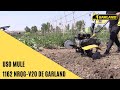 Video: Motocultor CULTIVATOR 741 RQG-V20