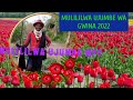MULILILWA SEDAMA UJUMBE WA GWINA NAMBA 3 Audio 2022